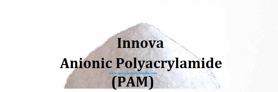 anionic polyelectrolyte manufacturers Parwani