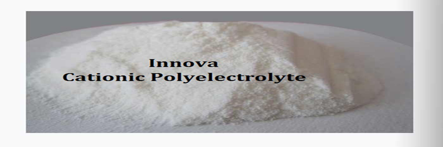 Cationic Polyelectrolyte manufacturers New Delhi