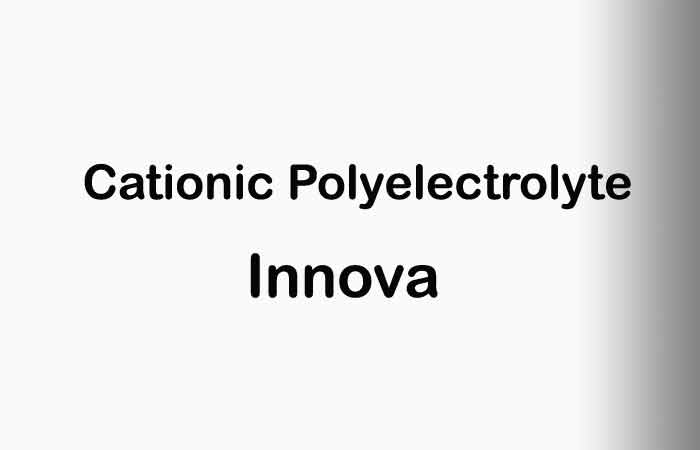 cationic polyelectrolyte France