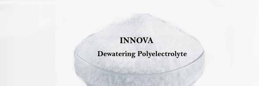 Dewatering Polyelectrolyte manufacturers Japan
