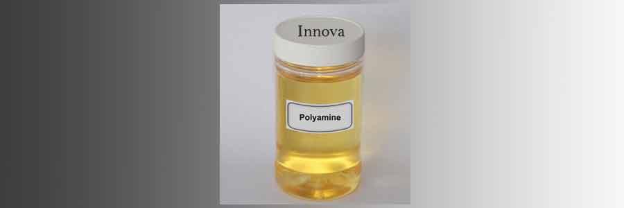 Polyamine manufacturers New Delhi