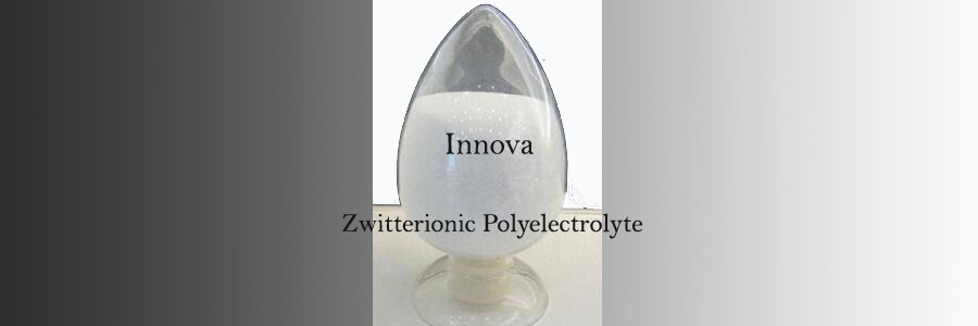 Zwitterionic Polyelectrolyte manufacturers Aligarh
