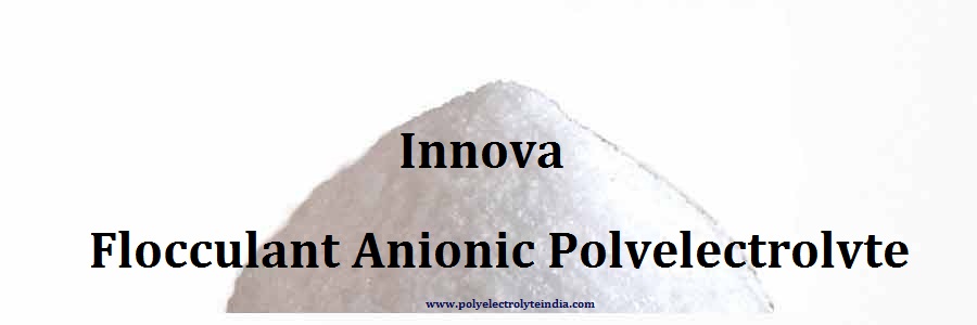 Flocculant Anionic Polyelectrolyte manufacturers Manesar