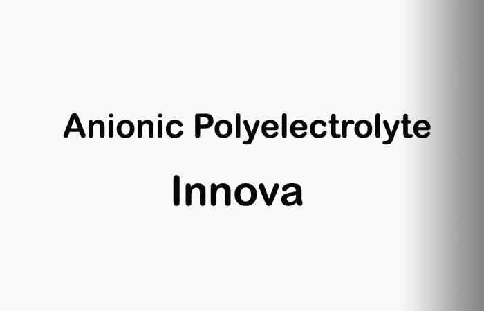 Anionic Polyelectrolyte