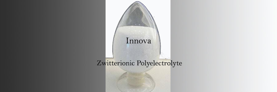 Zwitterionic Polyelectrolyte manufacturers Goa